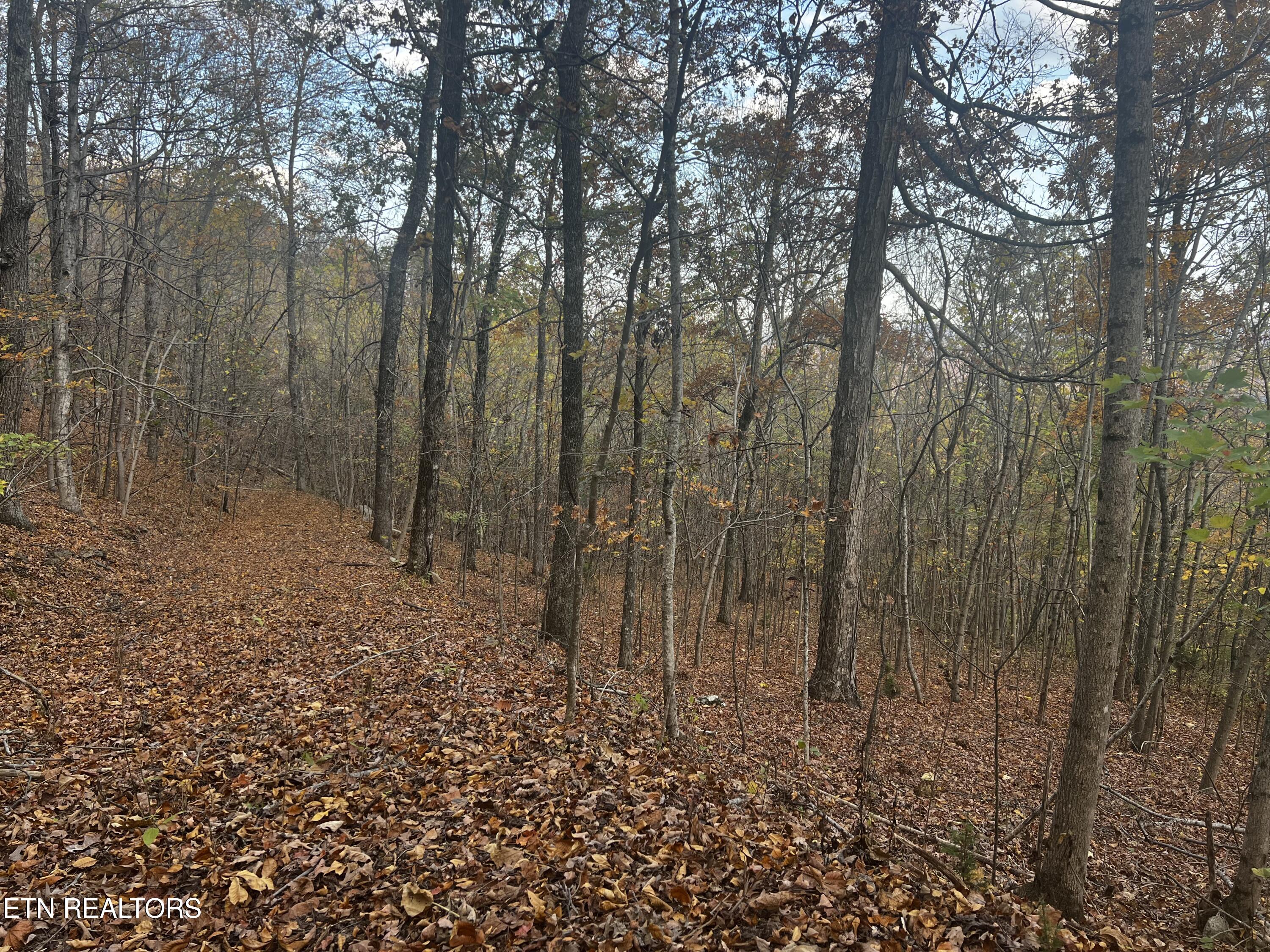 Lot 675 Chimney Rock Road New Tazewell, TN 37825 - Photo 32 of 44 Lot 675