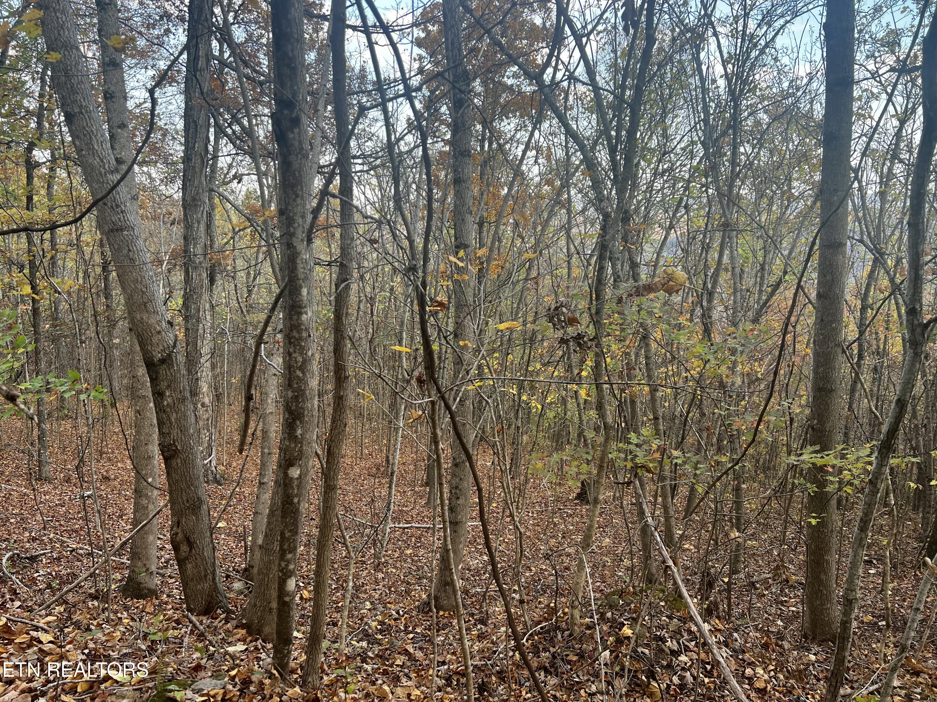 Lot 675 Chimney Rock Road New Tazewell, TN 37825 - Photo 33 of 44 Lot 675