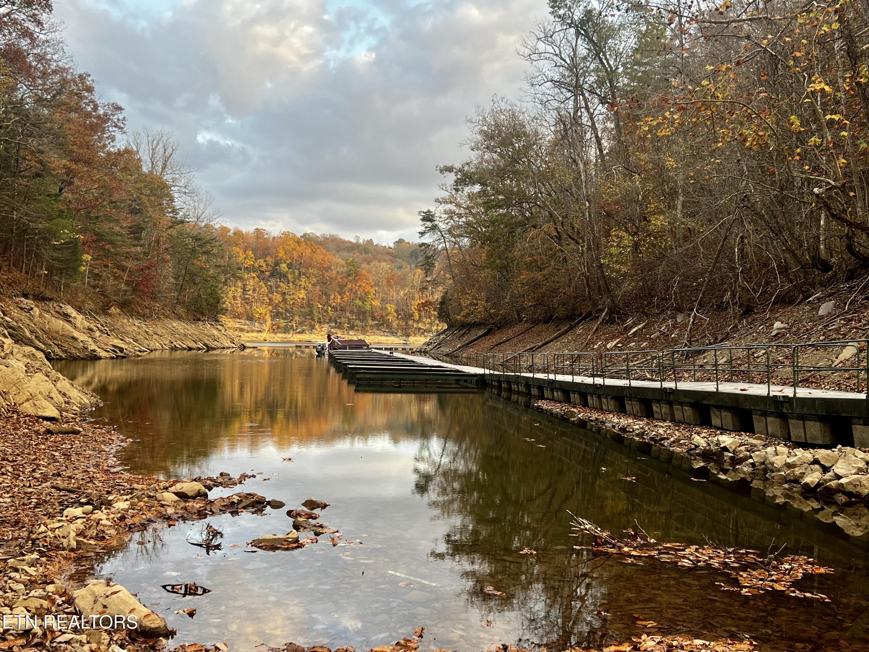 Lot 675 Chimney Rock Road New Tazewell, TN 37825 - Photo 35 of 44 Boat Slips (Dock 1)