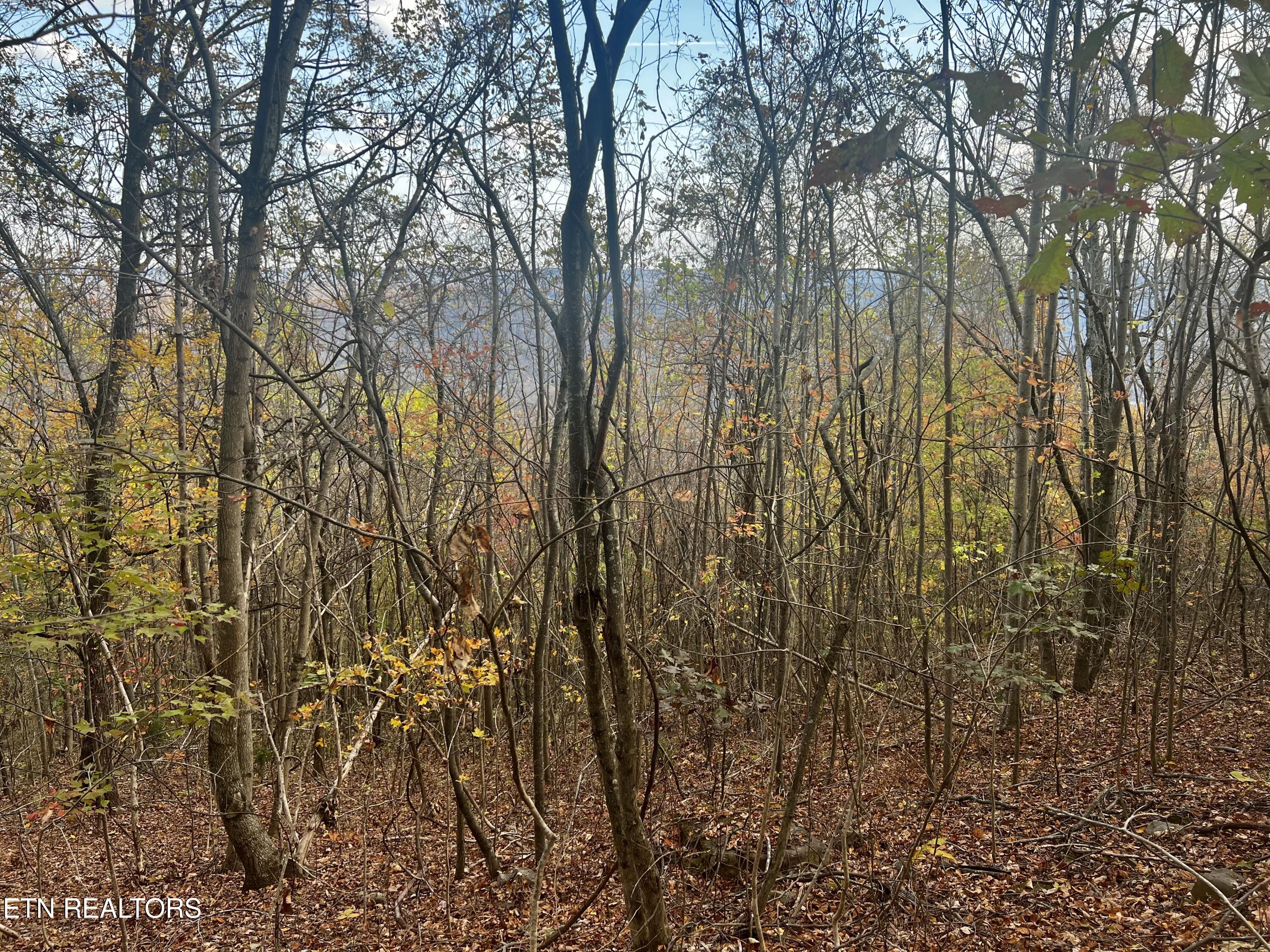 Lot 675 Chimney Rock Road New Tazewell, TN 37825 - Photo 37 of 44 Lot 675