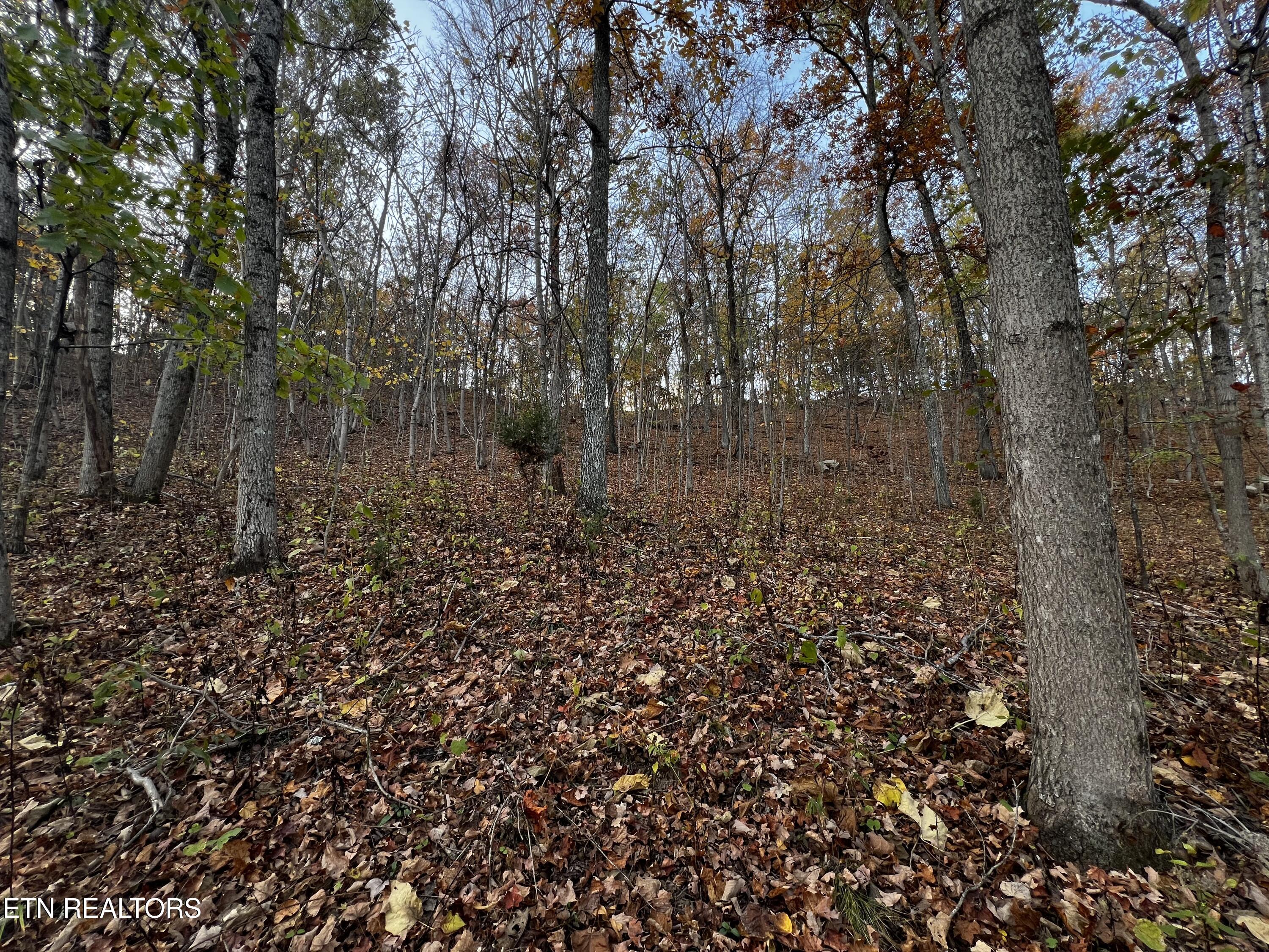 Lot 675 Chimney Rock Road New Tazewell, TN 37825 - Photo 10 of 44 Lot 675