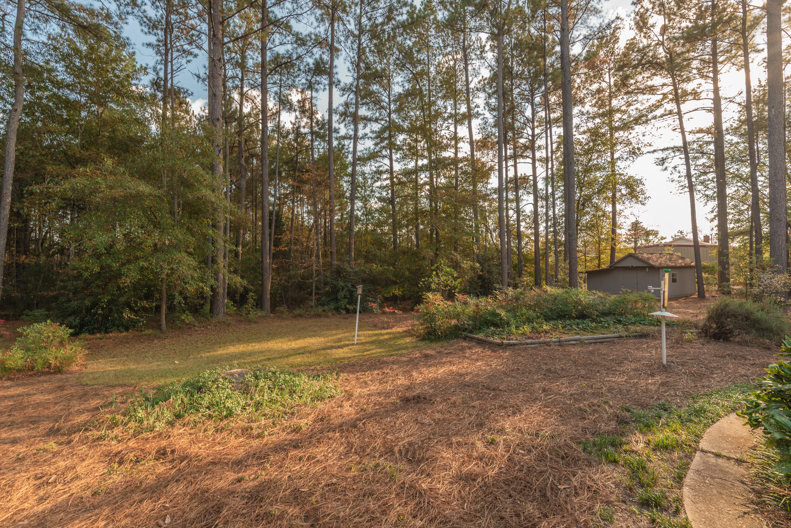 732 Wrights Mill Road Aiken, SC 29801 - Photo 46 of 50 Backyard