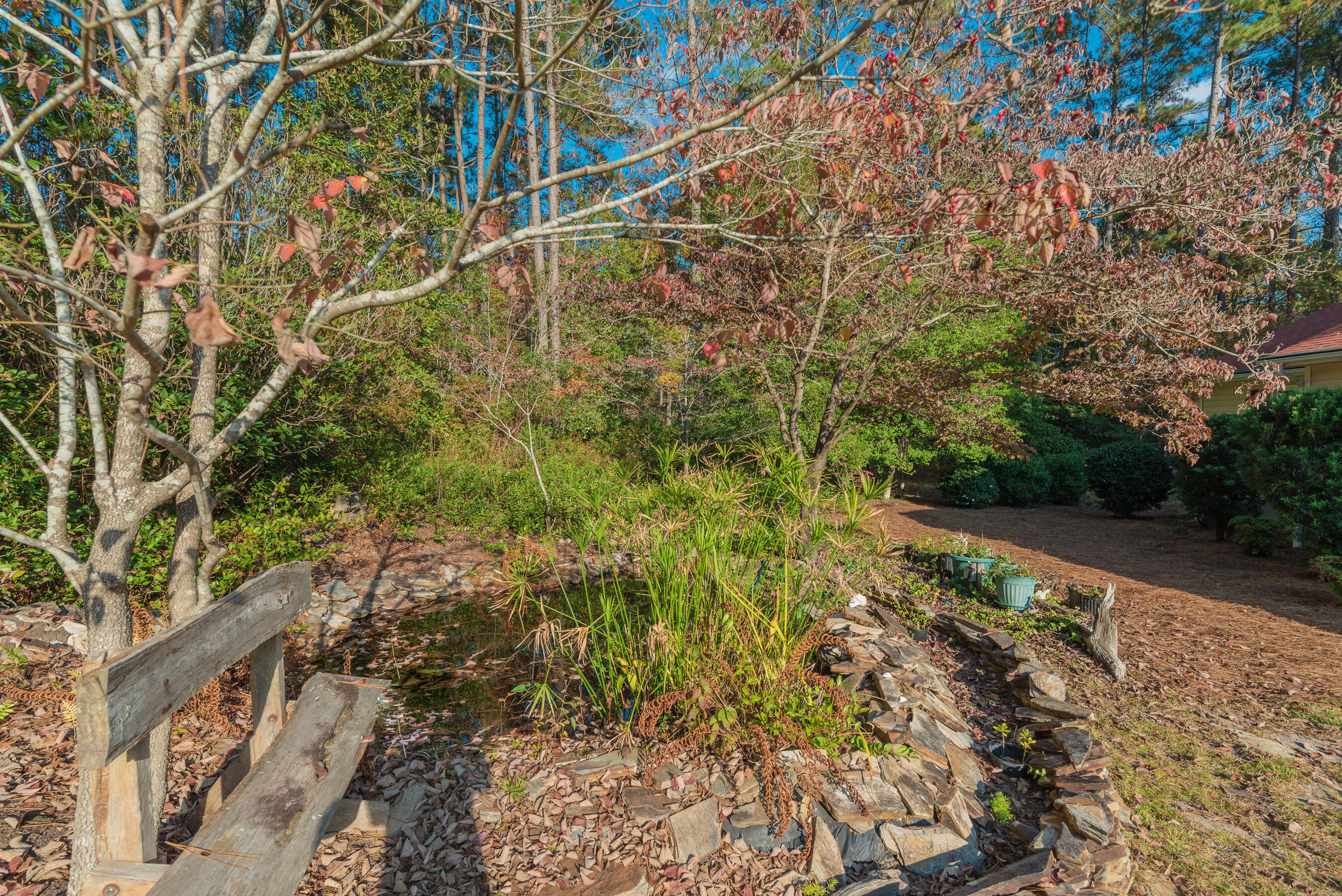 732 Wrights Mill Road Aiken, SC 29801 - Photo 6 of 50 Pond