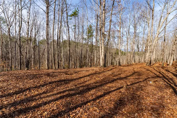 $119,000 | Lot 116 Pine Harbor Way, Salem, SC 29676