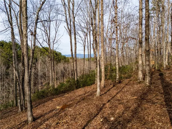 $119,000 | Lot 116 Pine Harbor Way, Salem, SC 29676