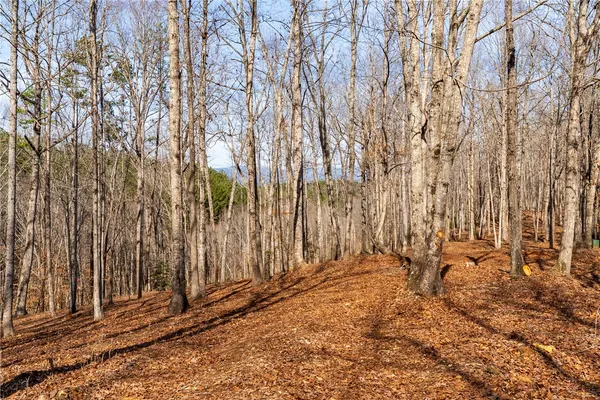 $119,000 | Lot 116 Pine Harbor Way, Salem, SC 29676