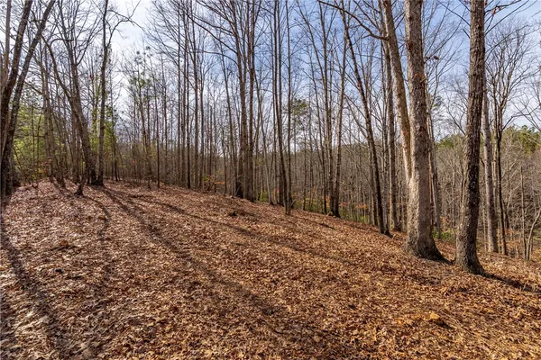 $119,000 | Lot 116 Pine Harbor Way, Salem, SC 29676