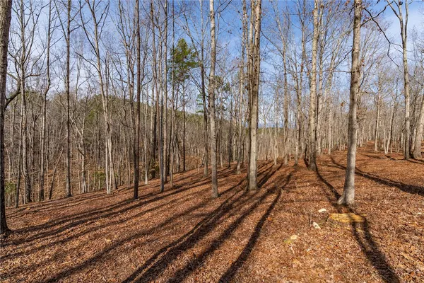 $119,000 | Lot 116 Pine Harbor Way, Salem, SC 29676