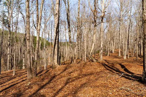 $119,000 | Lot 116 Pine Harbor Way, Salem, SC 29676