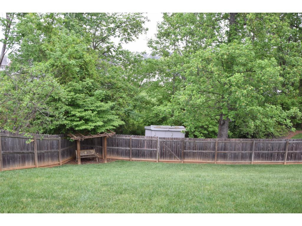 1817 Eric Graham, NC 27253 - Photo 4 of 24 a view of a backyard with a plants and trees