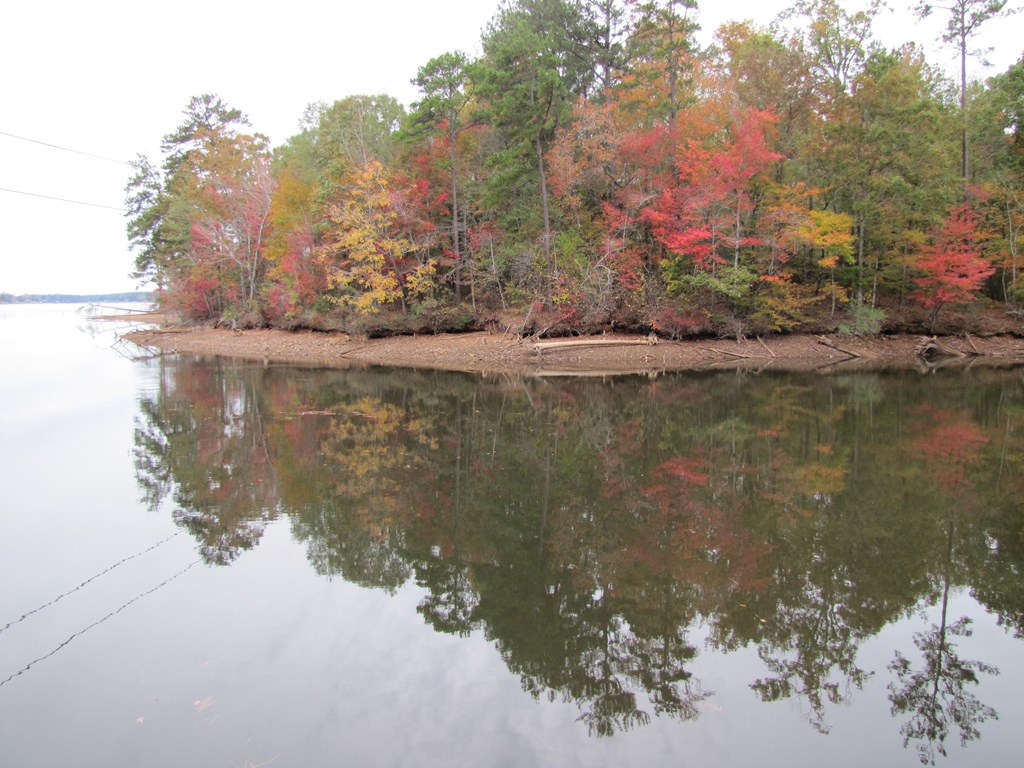 0 Sturges Road Hamilton, GA 31811 - Photo 13 of 36 Gallery Image 13