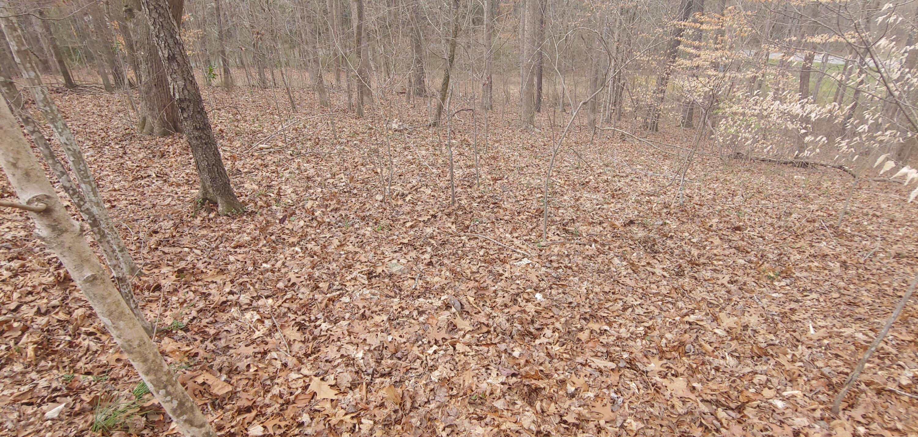 101 Hendrix Drive Oak Ridge, TN 37830 - Photo 2 of 4 0314211406b