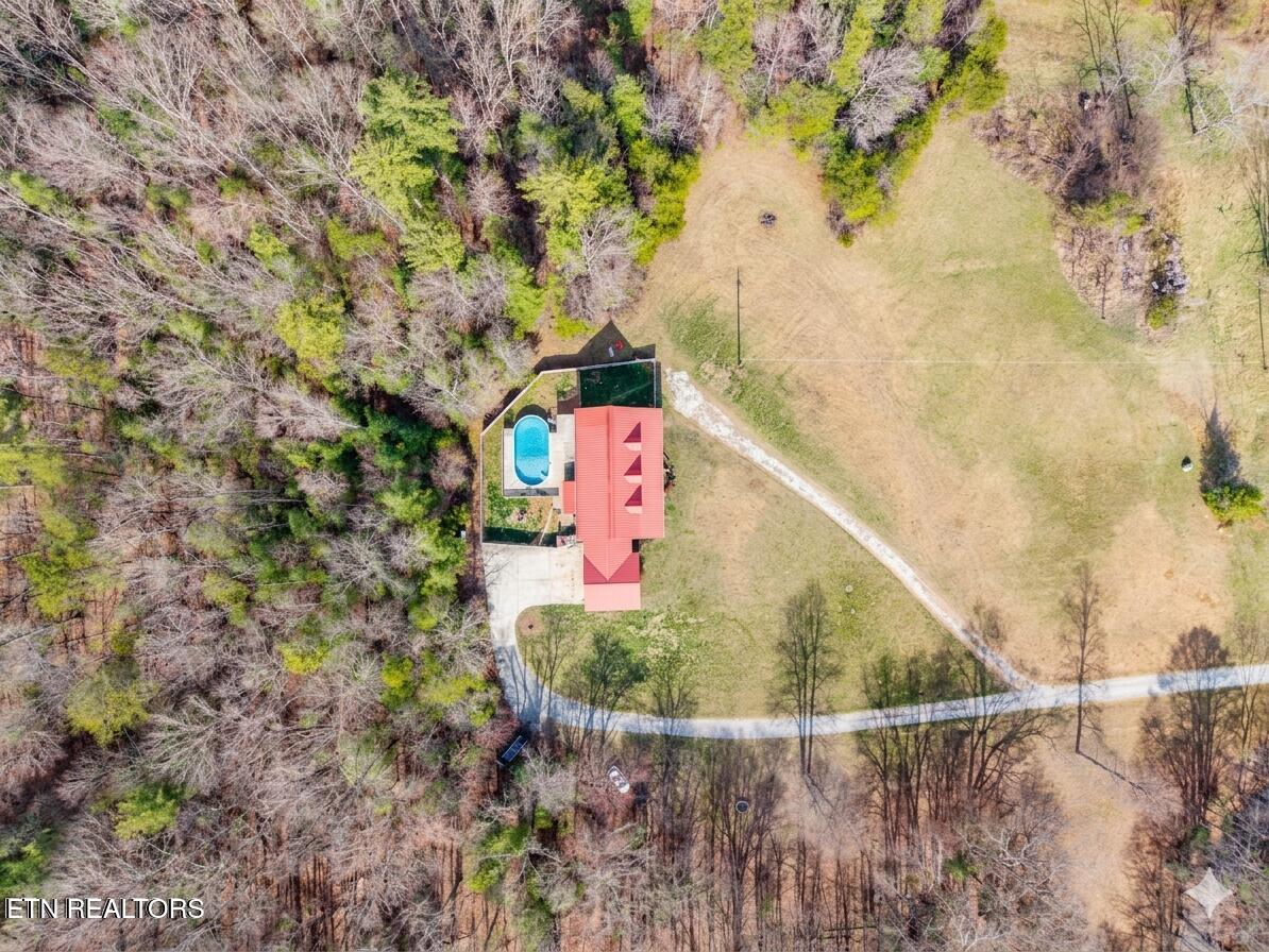 180 McJunkin Road Tellico Plains, TN 37385 - Photo 53 of 54 180_pool_droan_edited