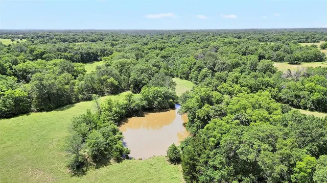 a view of a lake with a city