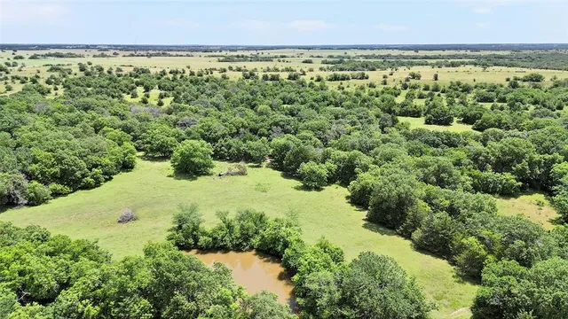 a view of a lake with a city