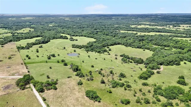 a view of a garden with a lake