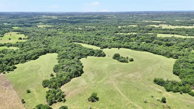 a view of a big yard with lots of green space