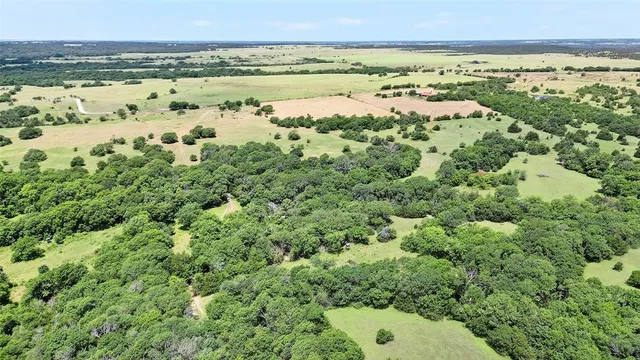a view of grassy field with trees in the background