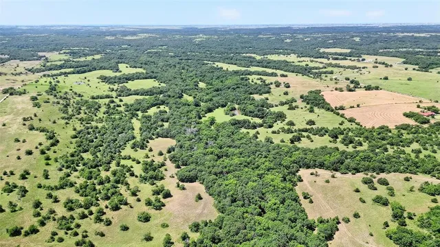 a view of a city with an ocean