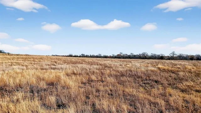 a view of an ocean beach