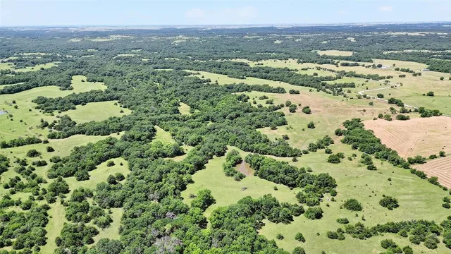 an aerial view of residential houses with outdoor space and trees