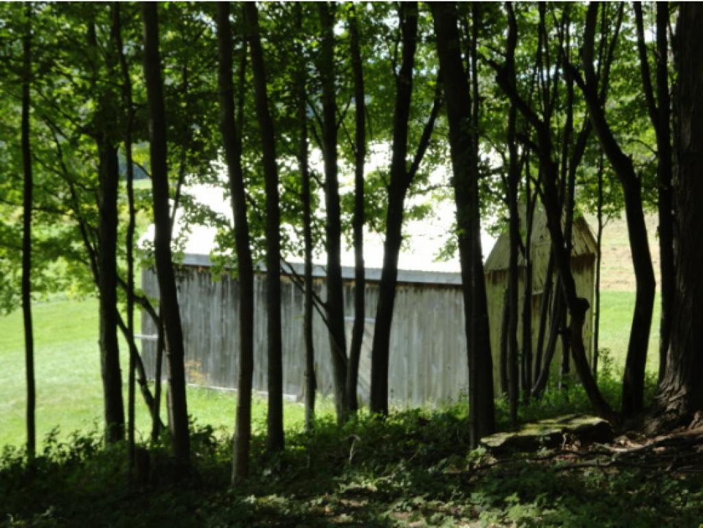 193 Fletcher Farm Road Hinesburg, VT 05461 - Photo 19 of 25 Gallery Image 19