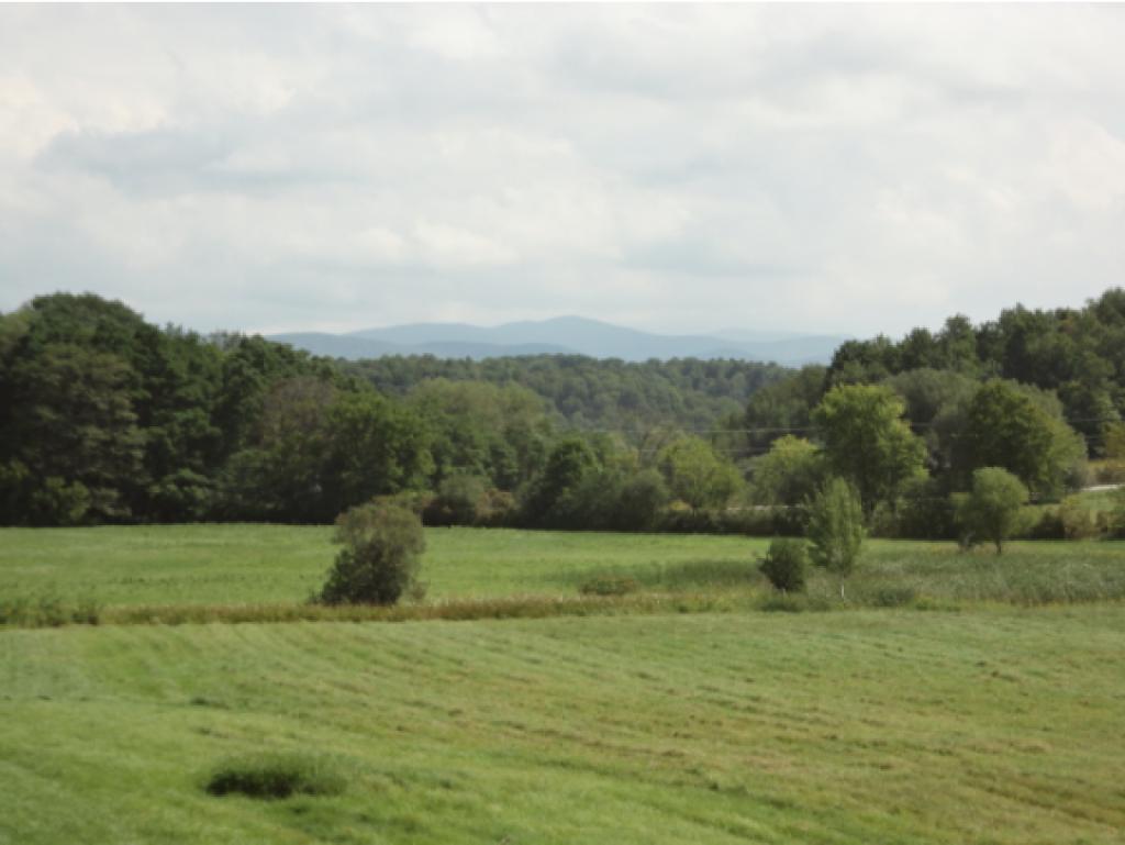 193 Fletcher Farm Road Hinesburg, VT 05461 - Photo 21 of 25 Gallery Image 21