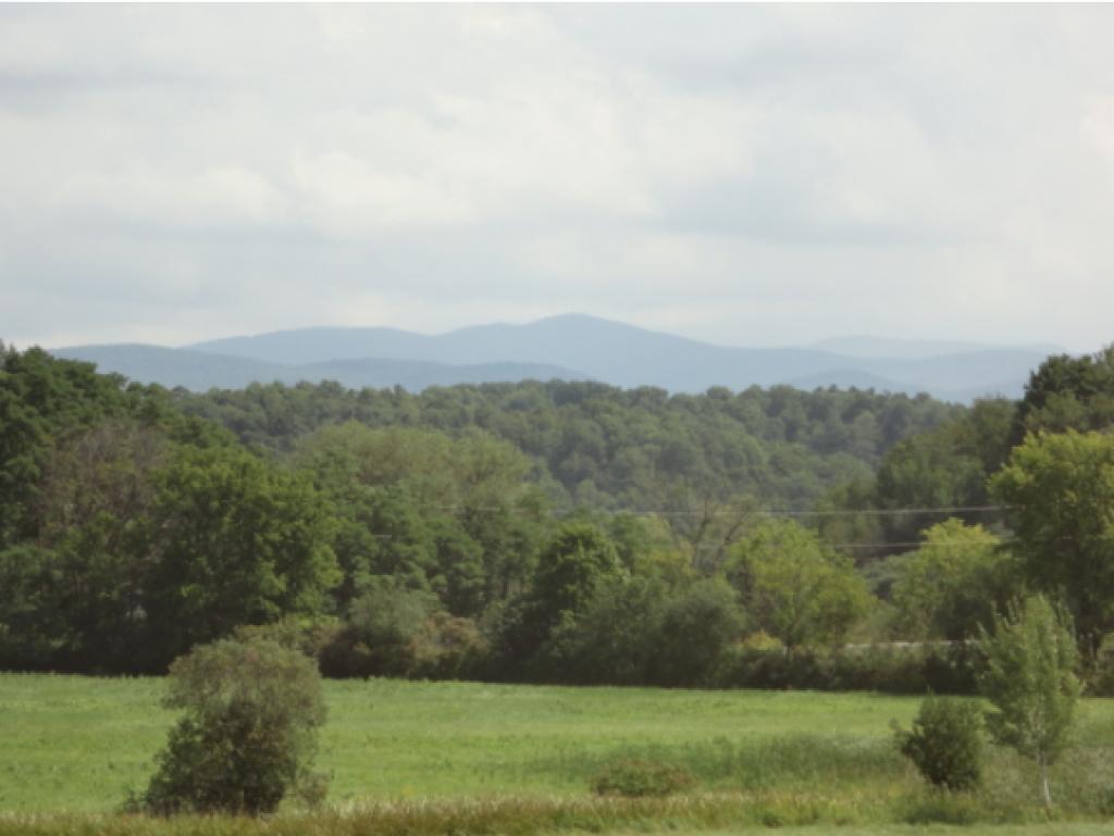 193 Fletcher Farm Road Hinesburg, VT 05461 - Photo 22 of 25 Gallery Image 22