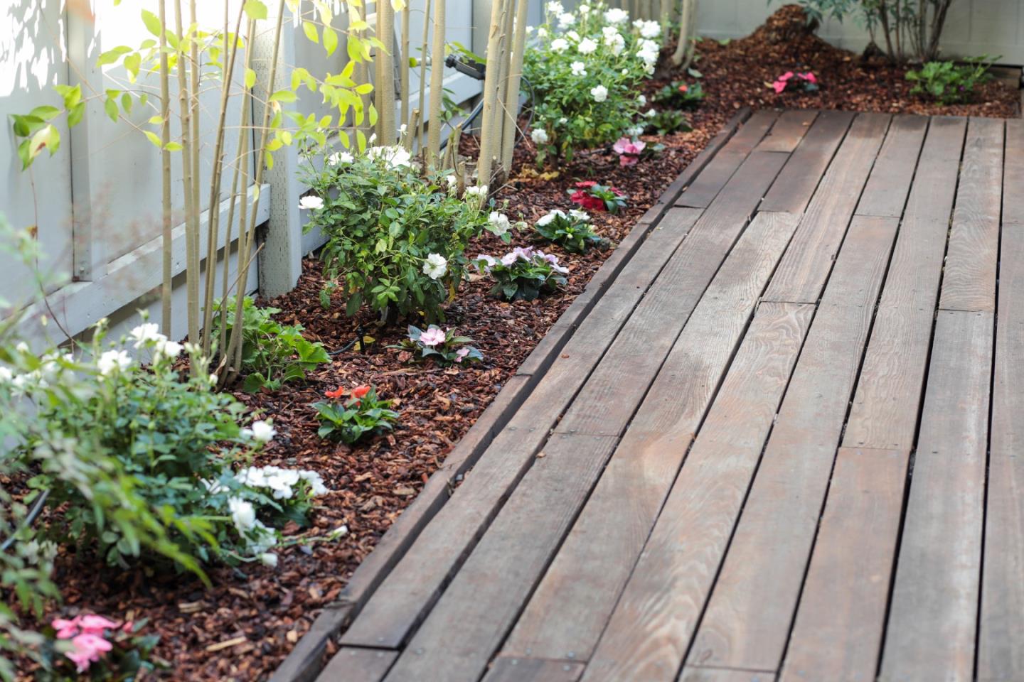 47 Bay Tree Lane Los Altos, CA 94022 - Photo 25 of 34 a picture of flowers