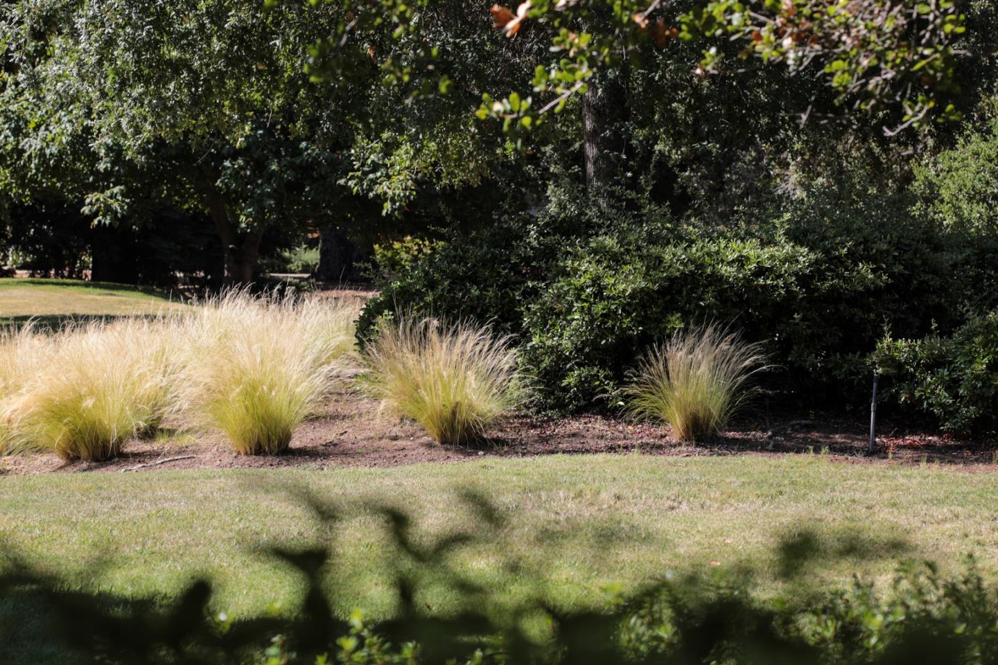 47 Bay Tree Lane Los Altos, CA 94022 - Photo 29 of 34 a view of outdoor space and yard