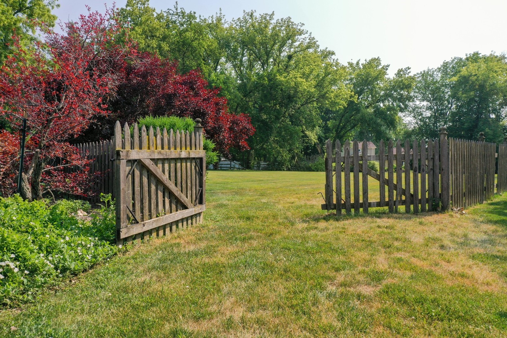 a view of backyard with wooden fence and trees