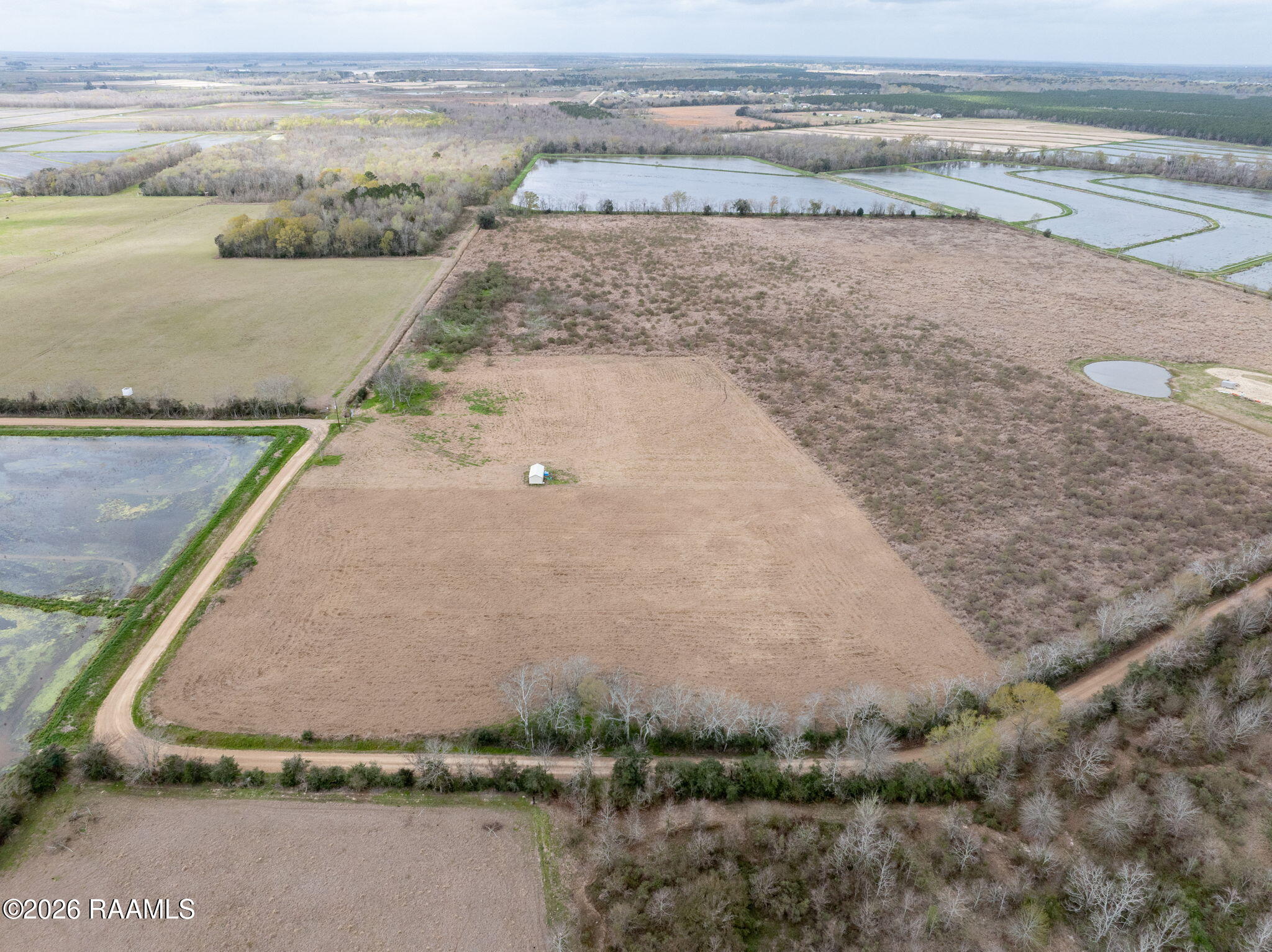1475 Young Eunice, LA 70535 - Photo 11 of 12 11-web-or-mls-DJI_20260226005206_0074_D