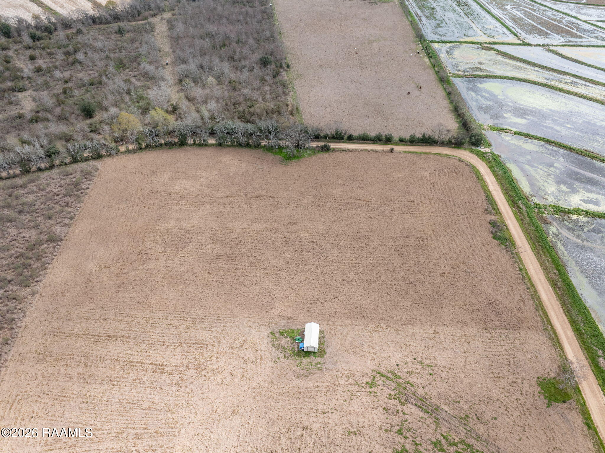 1475 Young Eunice, LA 70535 - Photo 6 of 12 6-web-or-mls-DJI_20260226005014_0065_D