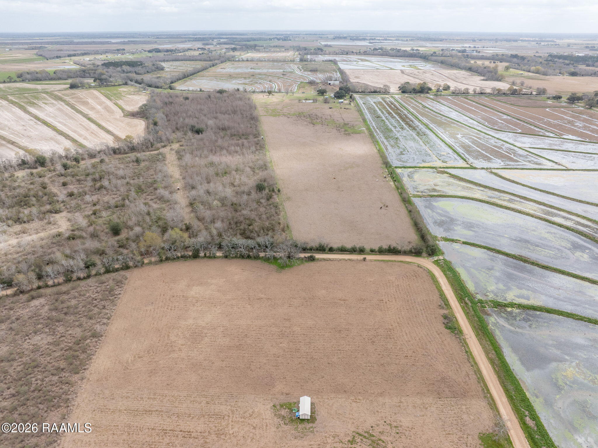 1475 Young Eunice, LA 70535 - Photo 7 of 12 7-web-or-mls-DJI_20260226005027_0066_D
