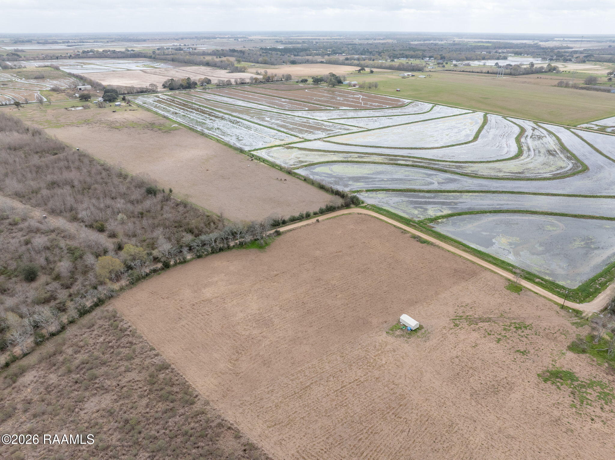 1475 Young Eunice, LA 70535 - Photo 8 of 12 8-web-or-mls-DJI_20260226005038_0067_D