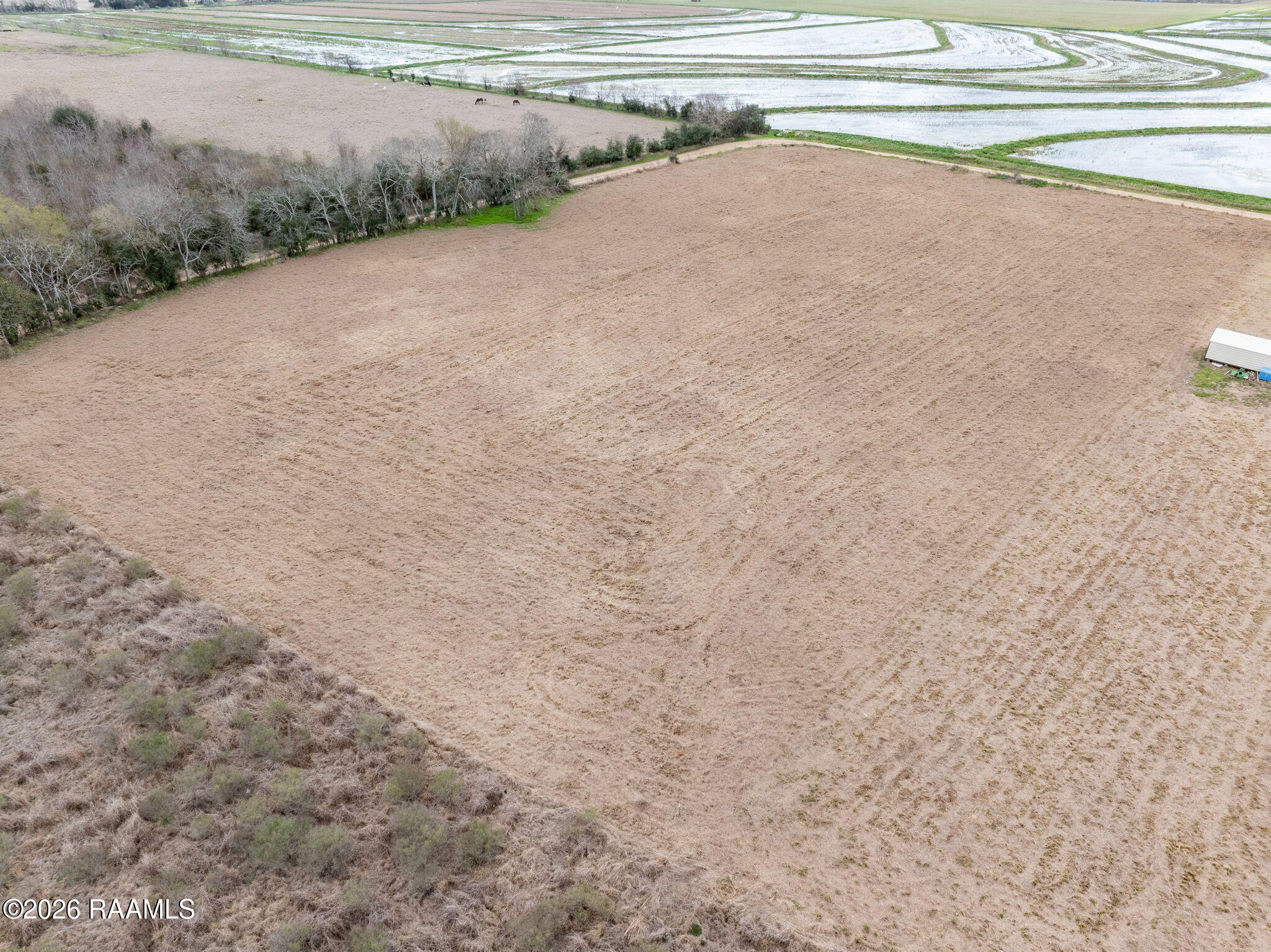 1475 Young Eunice, LA 70535 - Photo 9 of 12 9-web-or-mls-DJI_20260226005102_0069_D