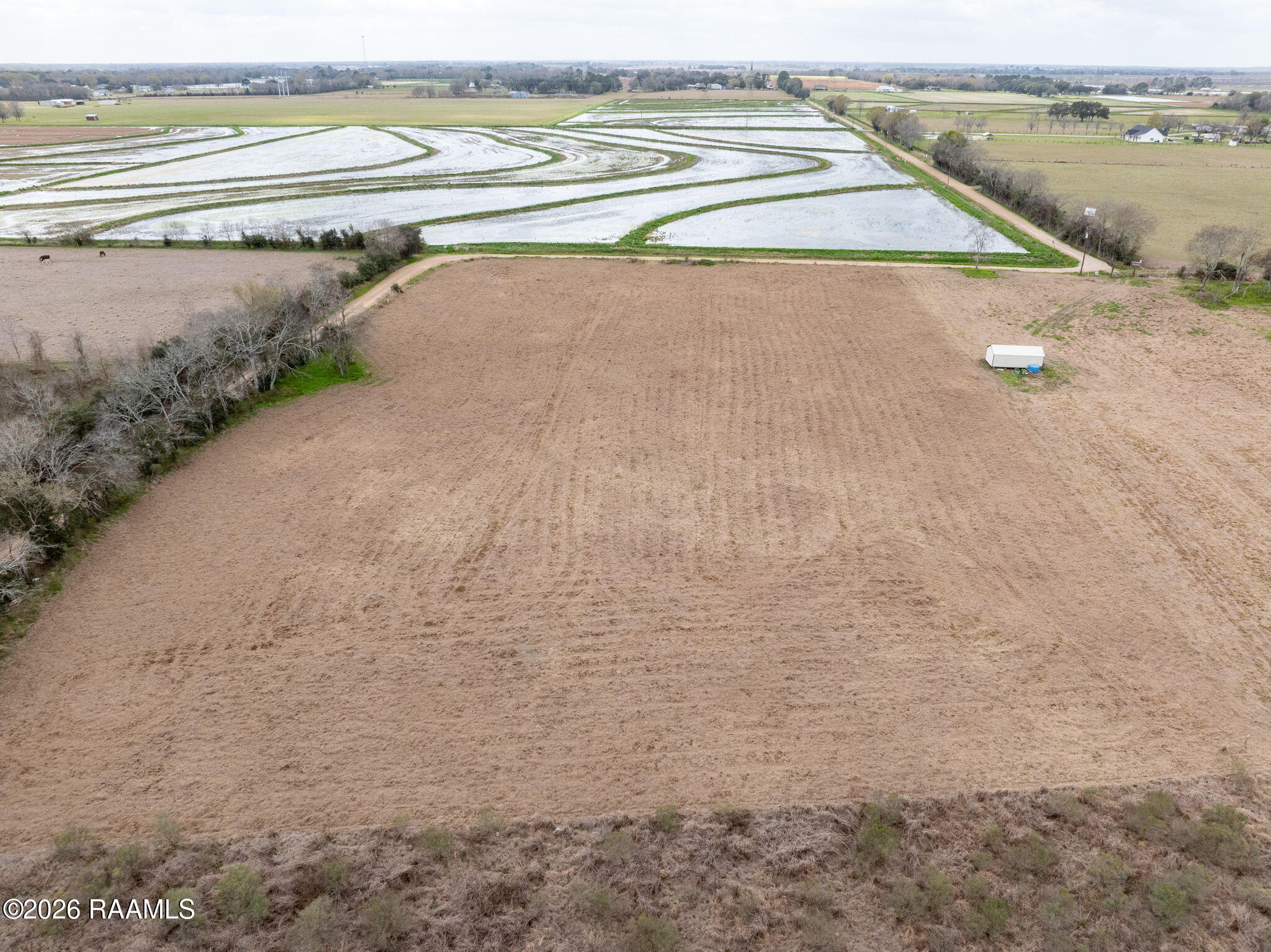 1475 Young Eunice, LA 70535 - Photo 10 of 12 10-web-or-mls-DJI_20260226005119_0071_D