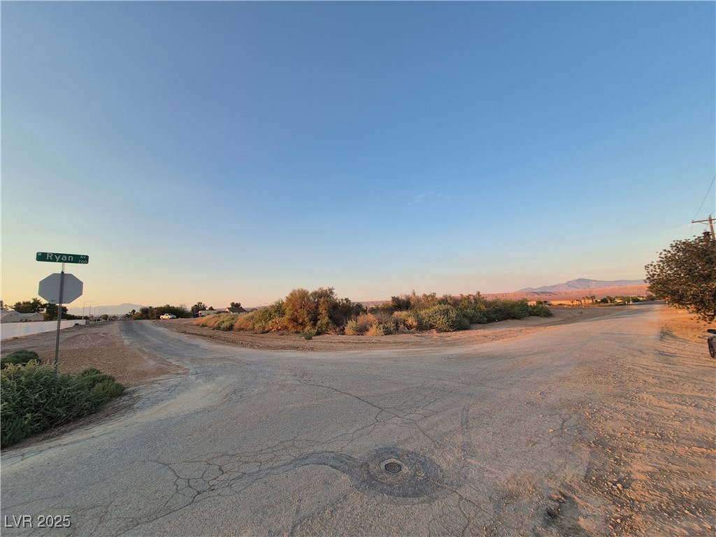 Yamashita Overton, NV 89040 - Photo 4 of 16