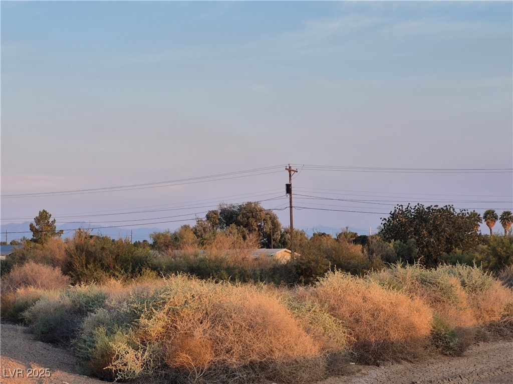Yamashita Overton, NV 89040 - Photo 6 of 16