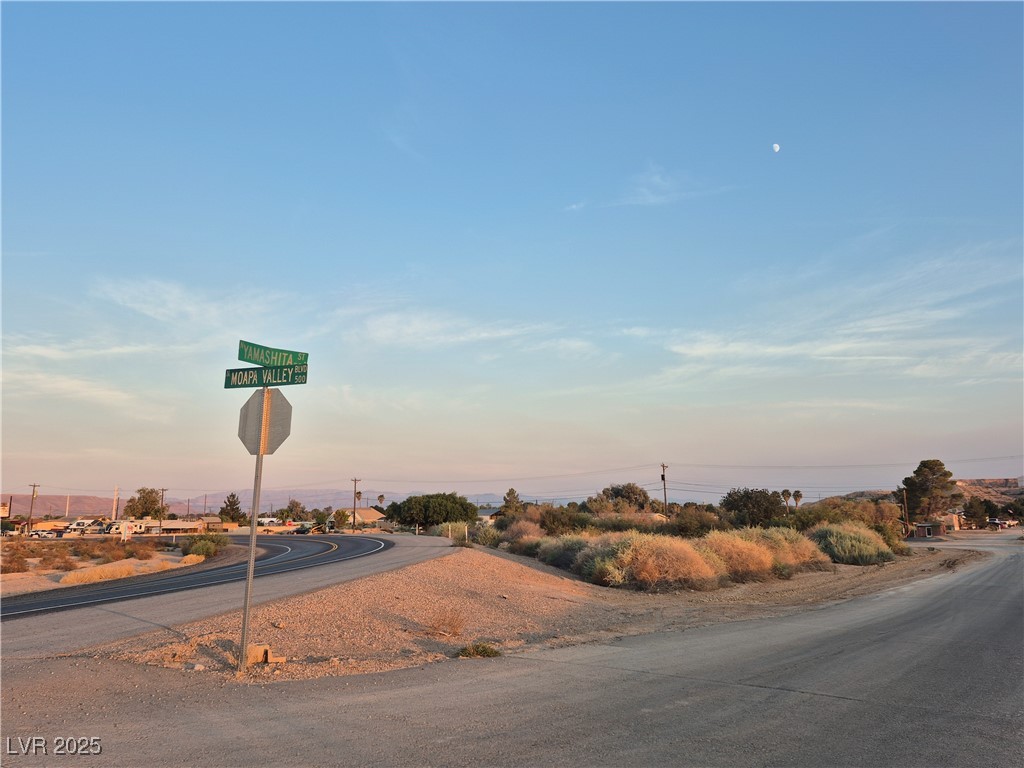 Yamashita Overton, NV 89040 - Photo 9 of 16