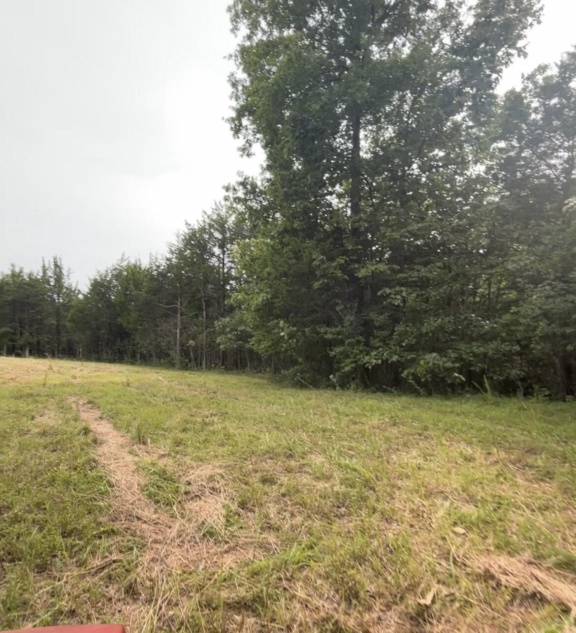 726 Old Brown Road Salvisa, KY 40372 - Photo 45 of 89 IMG_9140