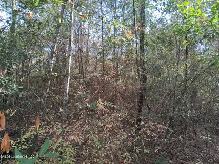 $26,500 | North Whale Avenue, Bay St. Louis, MS 39520