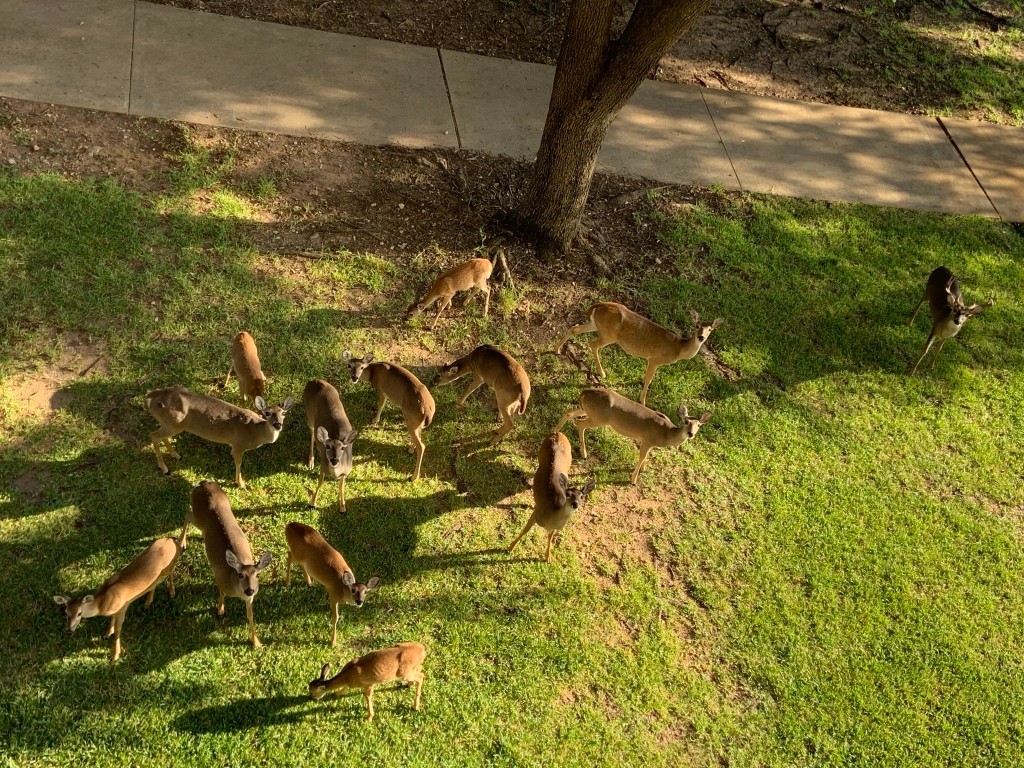 3404 American Drive, Unit 3210 Lago Vista, TX 78645 - Photo 7 of 34