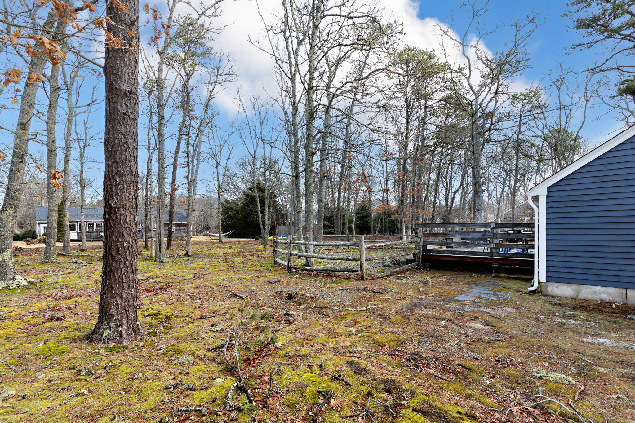 157 Jonathans Way Brewster, MA 02631 - Photo 8 of 38 a view of a backyard with a trees