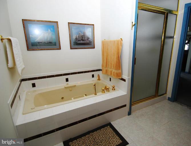 11375 River Road Lorton, VA 22079 - Photo 9 of 22 Master Bath #2