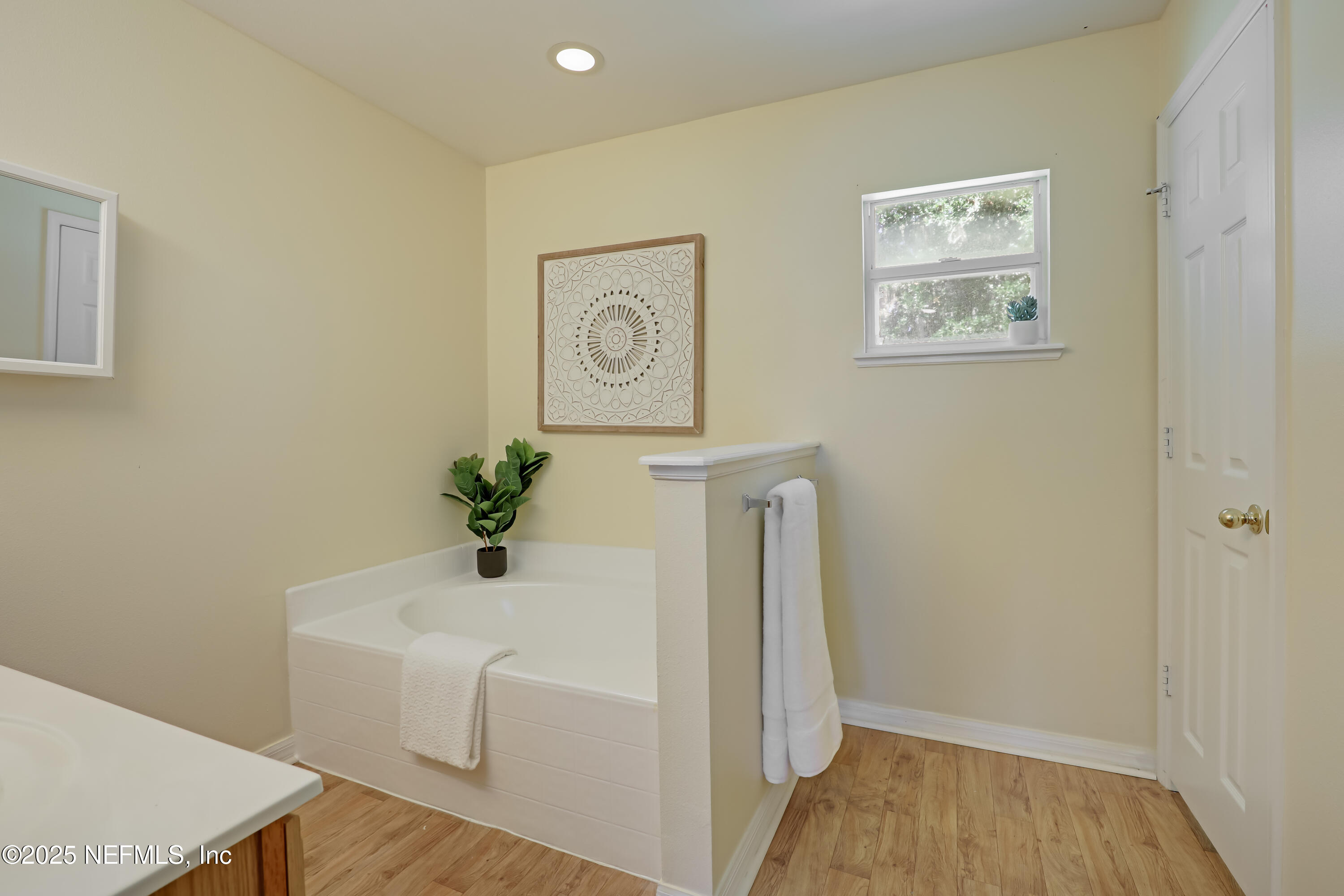 12269 Hickory Forest Road Jacksonville, FL 32226 - Photo 18 of 43 17 Master Bathroom