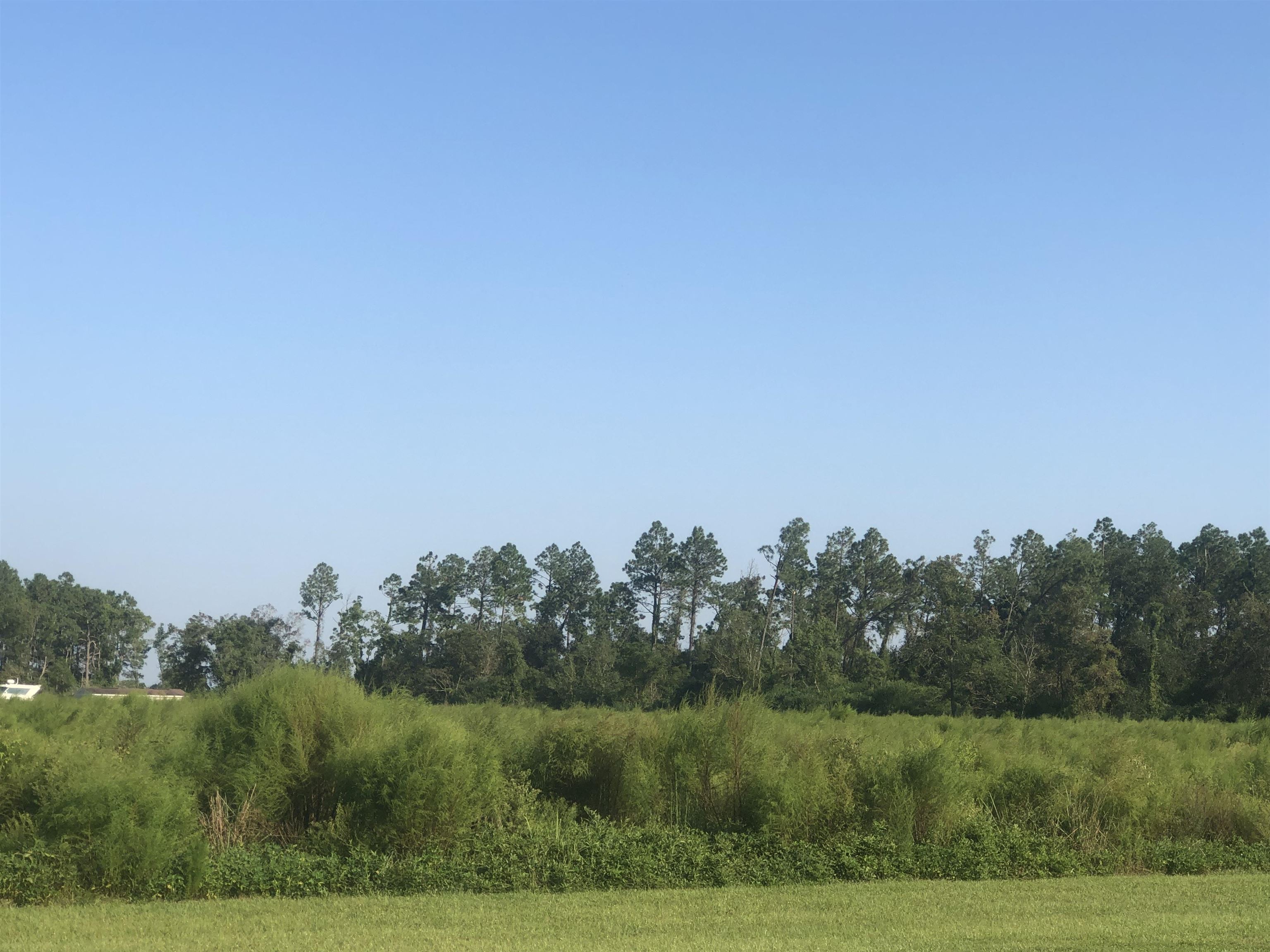 95 County Road Elberta, AL 36530 - Photo 5 of 6