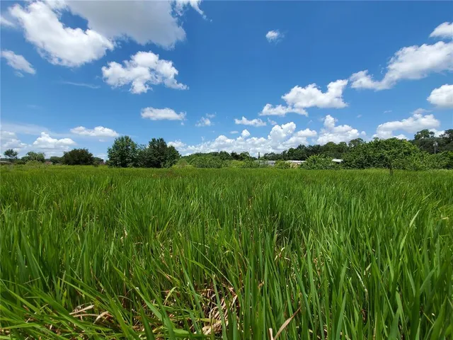 a view of a big yard with lots of green space