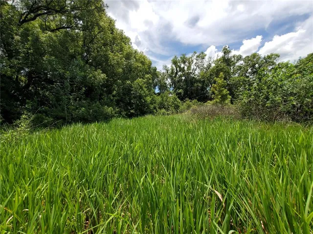 $175,000 | Woodland Avenue, Lakeland, FL 33801