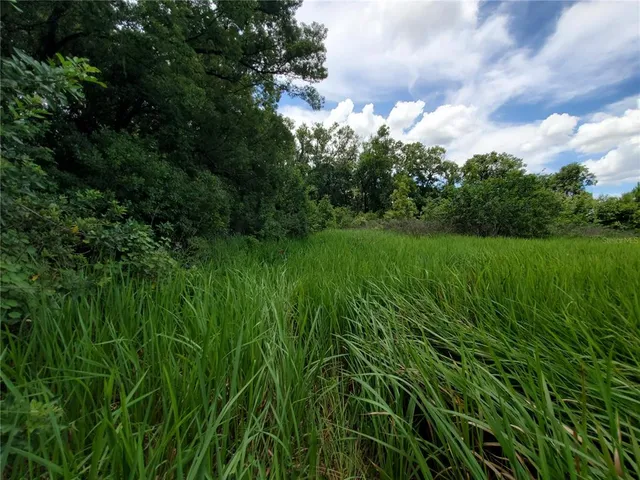 $175,000 | Woodland Avenue, Lakeland, FL 33801